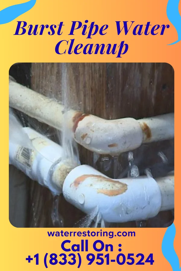 Burst Pipe Water Cleanup in Northern Cambria, PA