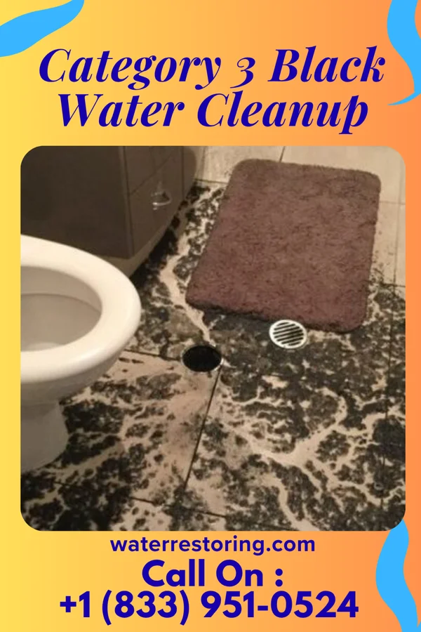 Category 3 Black Water Cleanup in Northern Cambria, PA