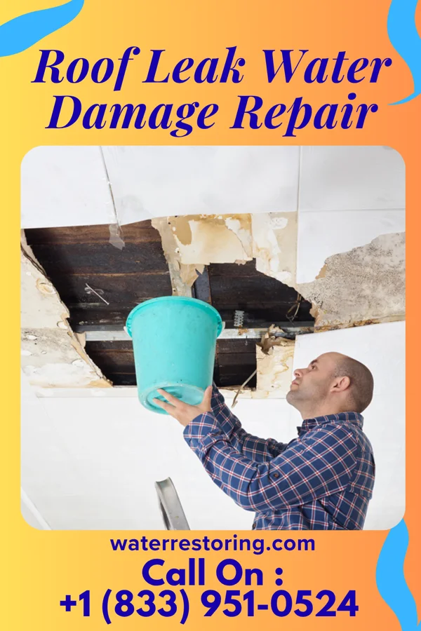 Roof Leak Water Damage Repair in Northern Cambria, PA