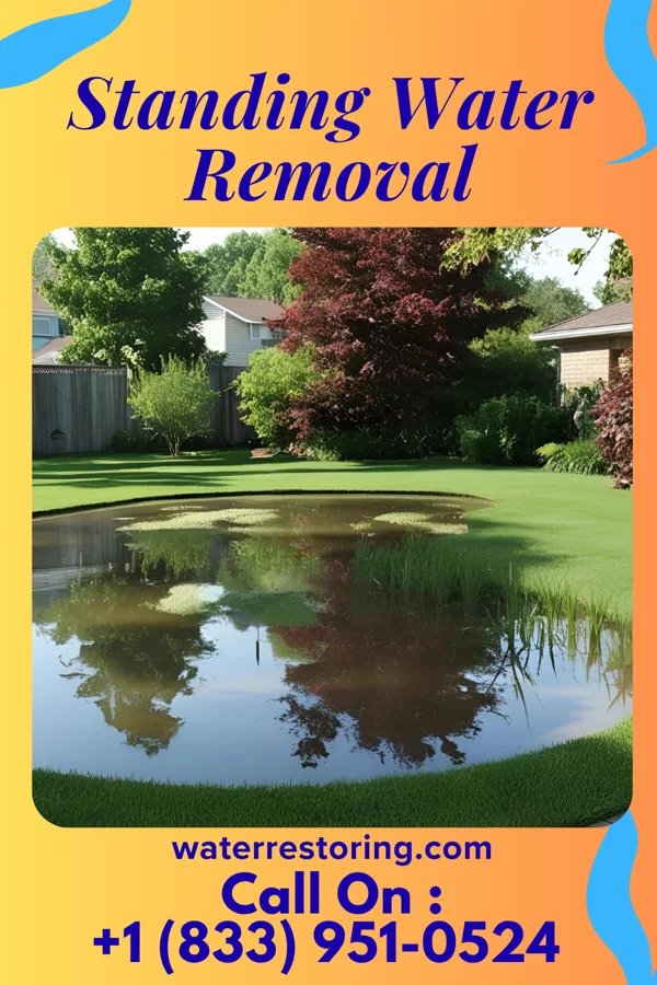 Standing Water Removal in Northern Cambria, PA
